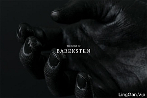 黑色经典VI设计:Bareksten酒品牌形象设计鉴赏