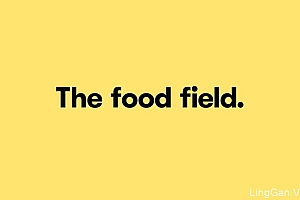 墨西哥TheFoodField有机食品店橙色VI设计