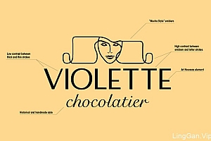 国外Violette巧克力品牌企业VI形象设计展示