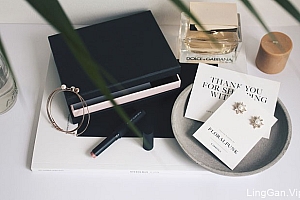 国外Floralpunk珠宝企业品牌VI设计分享