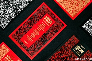 国外Nordik Impakt文化节17周年视觉形象VI设计