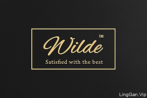 国外欧美风格的Wilde红酒企业品牌形象Vi设计