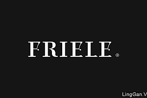 国外挪威Friele集团企业品牌形象VI设计分享
