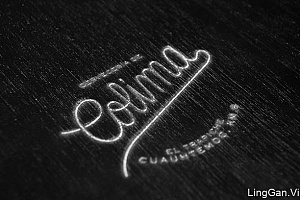 墨西哥Colima啤酒品牌形象VI设计分享