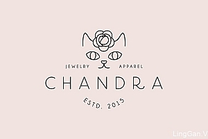 国外时尚CHANDRA女性服饰品牌VI形象设计分享25P