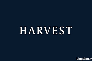 巴西Harvest财务规划与咨询公司企业品牌VI设计