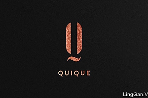 国外时尚潮流业的QUIQUE化妆品品牌形象VI设计