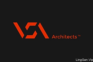 国外VSA建筑公司品牌形象VI设计分享17P