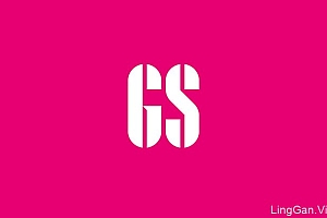 国外蓝色圣火品牌VI设计作品投稿24P