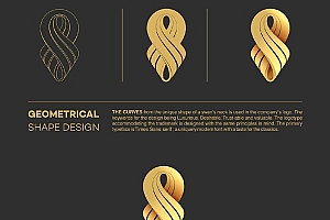 金色且精致的Sananoor企业VI形象设计分享