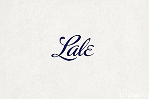 国外Lale品牌VI形象设计分享