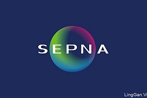 国外VI设计臣唐SEPNA创意咨询公司设计作品19P