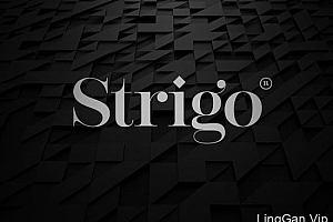 国外VI设计Strigo服装品牌VI形象设计分享13P