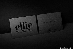 国外Ellie花卉印花品牌VI形象设计