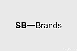 国外SB-Brands品牌VI设计23P