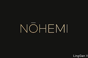 国外Nohemi时装零售品牌VI形象设计