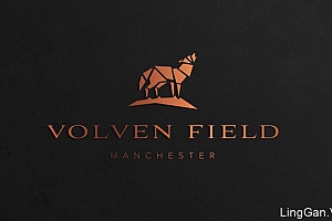 国外设计师Volven Field服装定制品牌VI设计