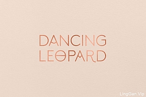 国外精细的Dancing Leopard女装品牌形象VI设计