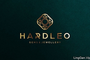 国外Hardleo珠宝品牌VI设计