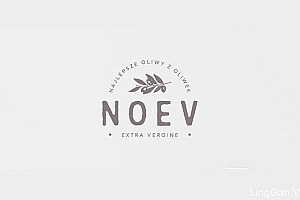 国外Noev橄榄油店品牌形象Vi设计