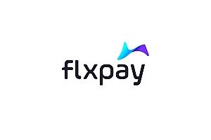 国外flxpay在线支付品牌蓝白版VI设计作品