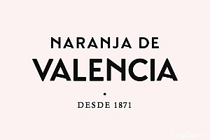 国外Valencia橙子生产与出口品牌vi形象设计