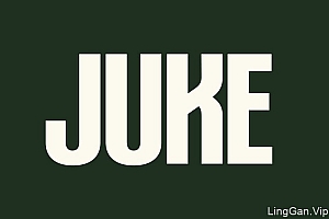 国外JUKE炸鸡快餐店品牌形象vi设计