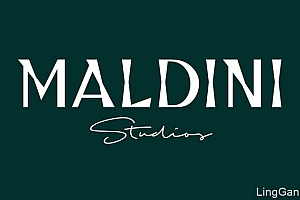 瑞典Maldini工作室VI设计作品