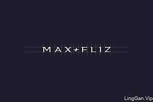波兰Max-Fliz室内设计公司品牌vi设计