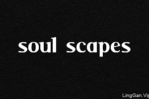 Soul Scapes品牌VI设计基础部分