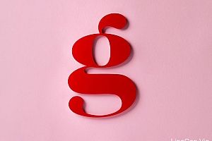 Gelateria Di Neve冰淇淋店品牌形象设计