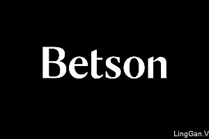 Betson男士配饰品牌视觉形象设计