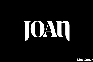 Joan创意机构品牌形象设计