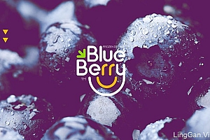 Blue Berry蓝莓甜品冷饮品牌形象设计