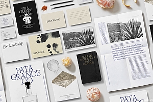 历史元素的现代感!酒类品牌VI设计