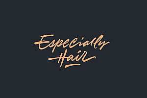 Especially Hair国外创意字母标志LOGO设计
