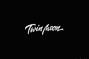 Twin Moon 文字LOGO设计欣赏