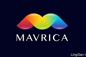 罗马尼亚设计师Vio Pintilie创意LOGO标志设计