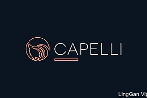 国外标志LOGO设计之BERRUETA创意标志设计分享18P