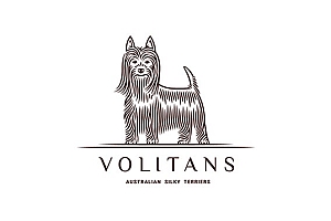 国外设计师Ivan Voznyak创意logo标志设计欣赏