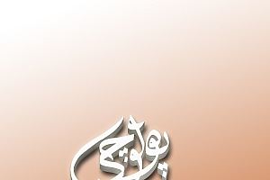 polo-立体标志设计