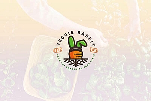 精心搜集的以萝卜为元素的LOGO标志设计案例