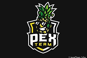 80款漂亮的电子竞技行业logo设计NO.2