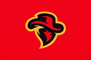 塞尔维亚Djordje 2018年LOGO设计作品