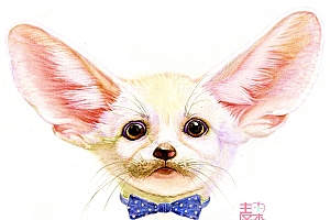 《你也可以画得很美》—动物 狗狗