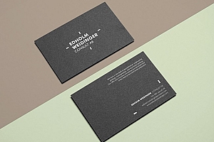 国外Anna Warda精致的商务名片设计欣赏