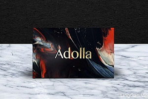 Adolla摄影工作室创意名片设计赏析