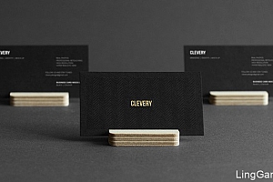 乌克兰Clevery名片设计赏析