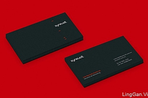 墨西哥Sergio Vichique个性商务名片设计欣赏