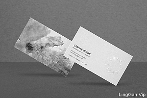 乌克兰Clevery创意名片设计欣赏